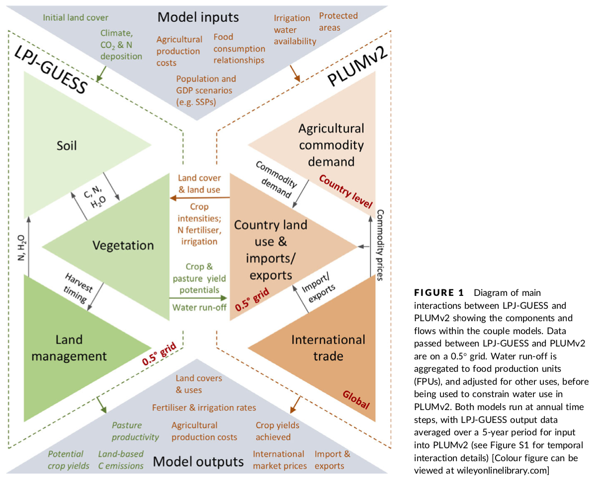 Adaptation of global land use and management intensity to changes in ...