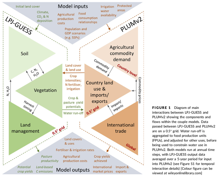 Figure 1 from Alexander et al. (2018): Diagram of main interactions between LPJ-GUESS and PLUMv2 showing the components and flows within the coupled models.