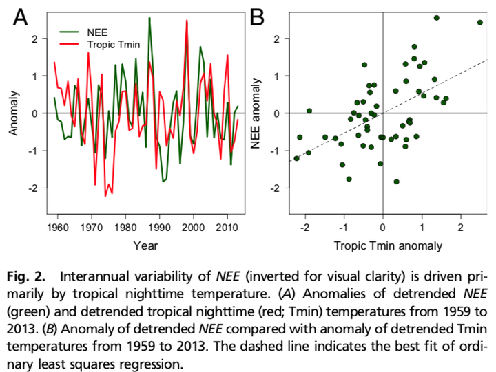 Figure 2 from Anderegg et al. (2015): Interannual variability of NEE is driven primarily by tropical nighttime temperature.