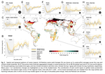 A regional nuclear conflict would compromise global food security